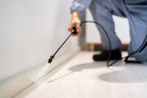 Licensed Bed Bug Control service in Silver Hill, MD - Nex Pest Control