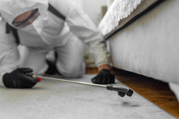 Professional Bed Bug Control technician working in Silver Hill, MD