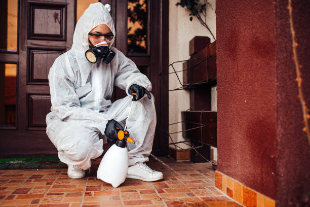 Reliable Bed Bug Control contractor in Silver Hill, MD by Nex Pest Control