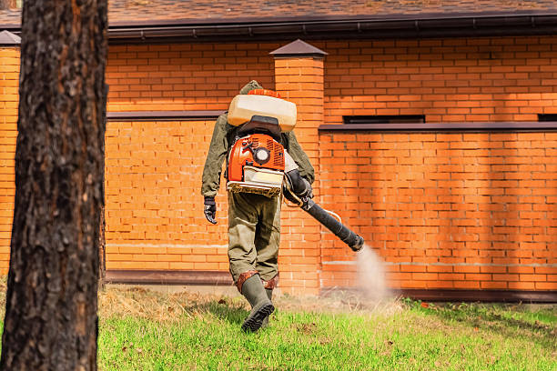 Top rated local Bed Bug Control specialists in Silver Hill, MD